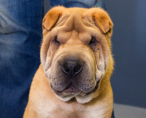 Product picture Anti-aging Skin Care